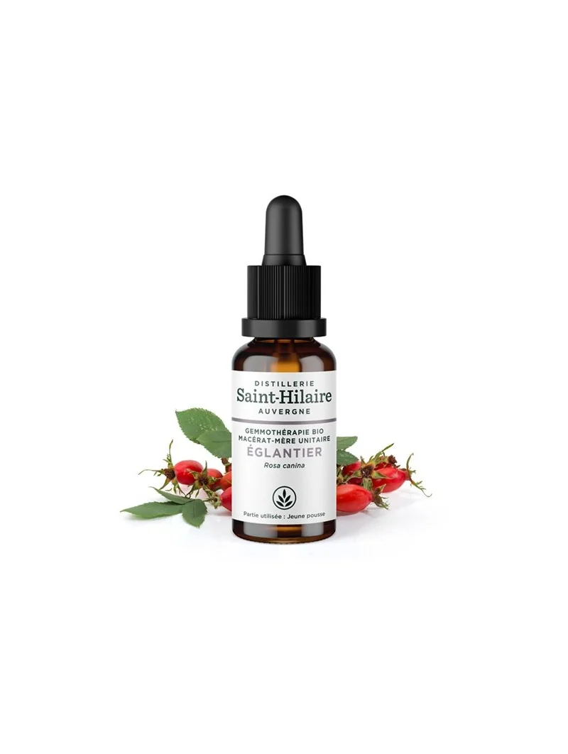 MACERAT D'EGLANTIER BIO – Image 2