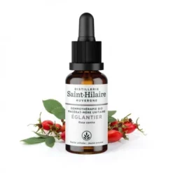 MACERAT D'EGLANTIER BIO