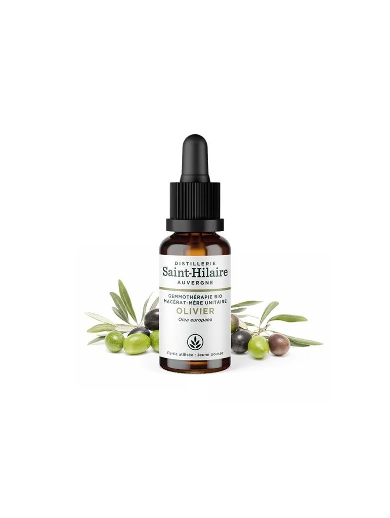 MACERAT D'OLIVIER BIO – Image 3