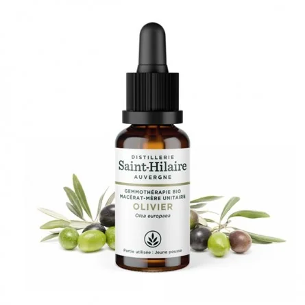 MACERAT D'OLIVIER BIO