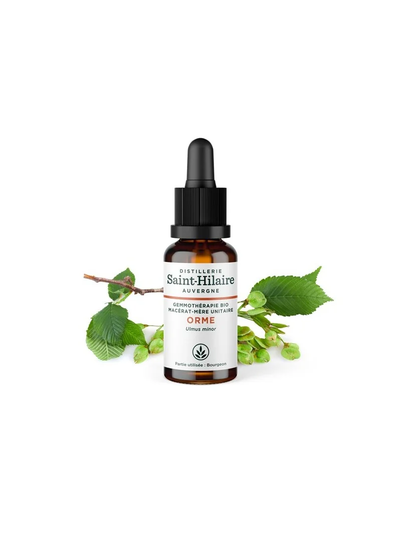 MACERAT D'ORME BIO – Image 2