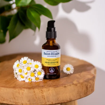 PÂQUERETTE – Image 2