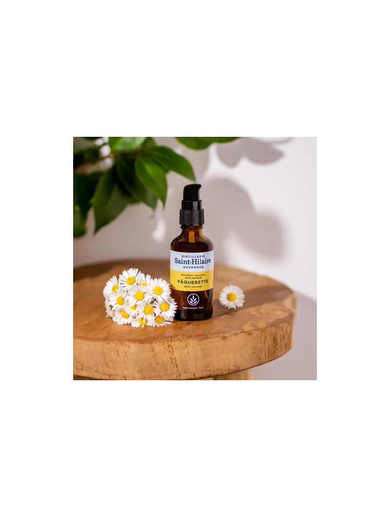 PÂQUERETTE – Image 4