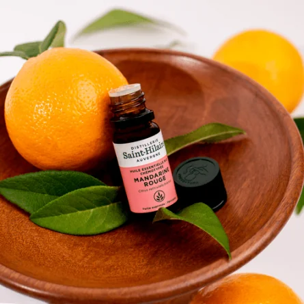 MANDARINE ROUGE – Image 2