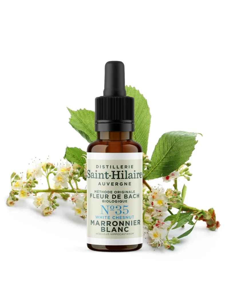 MARRONNIER BLANC N°35 BIO – Image 3