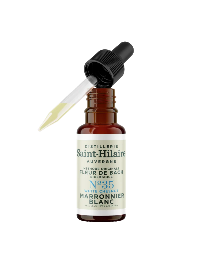 MARRONNIER BLANC N°35 BIO – Image 4