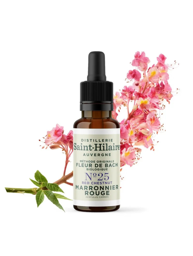 MARRONNIER ROUGE N°25 BIO – Image 3