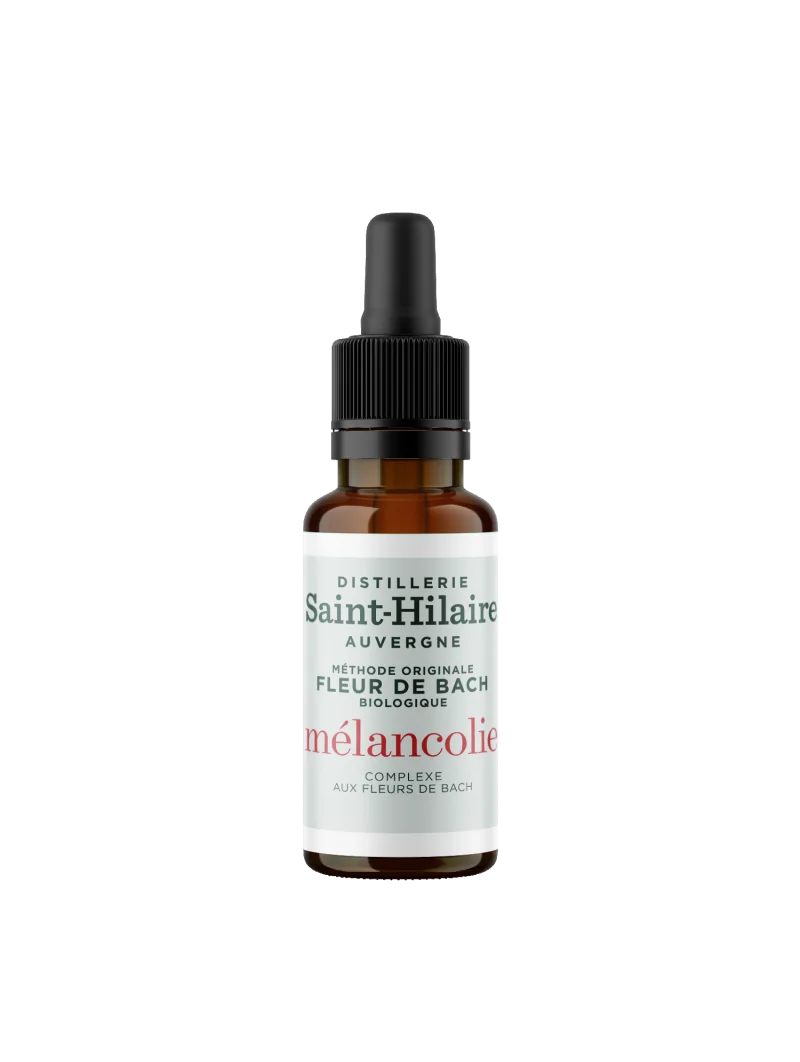 MELANCOLIE – Image 4