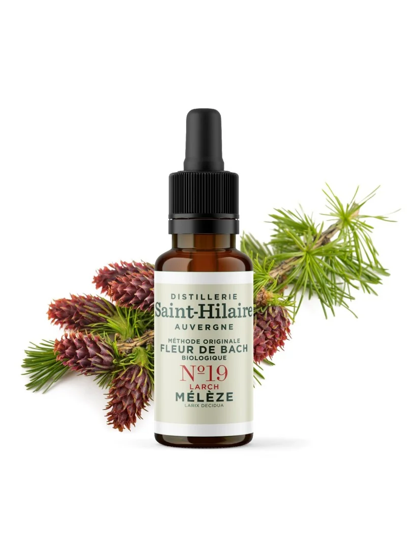 MELEZE N°19 BIO – Image 3