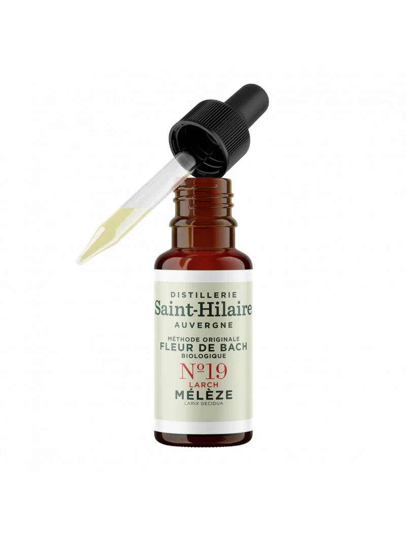 MELEZE N°19 BIO – Image 4