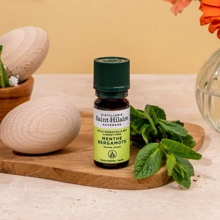MENTHE BERGAMOTE – Image 2