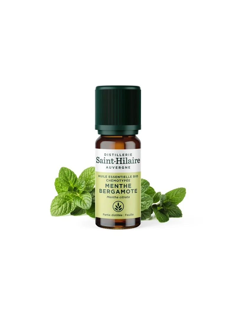 MENTHE BERGAMOTE – Image 3