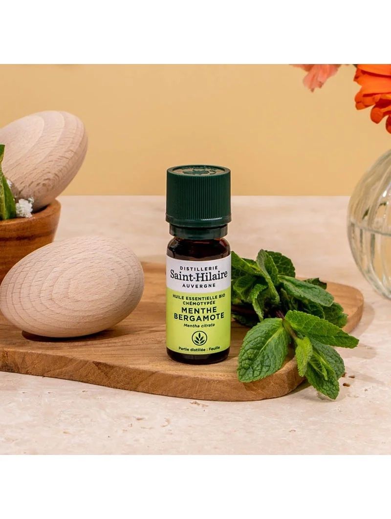 MENTHE BERGAMOTE – Image 4