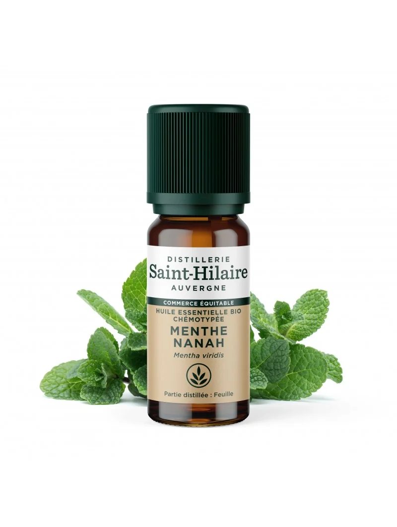 MENTHE NANAH – Image 2