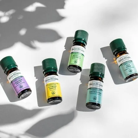 MENTHE POIVRÉE – Image 4