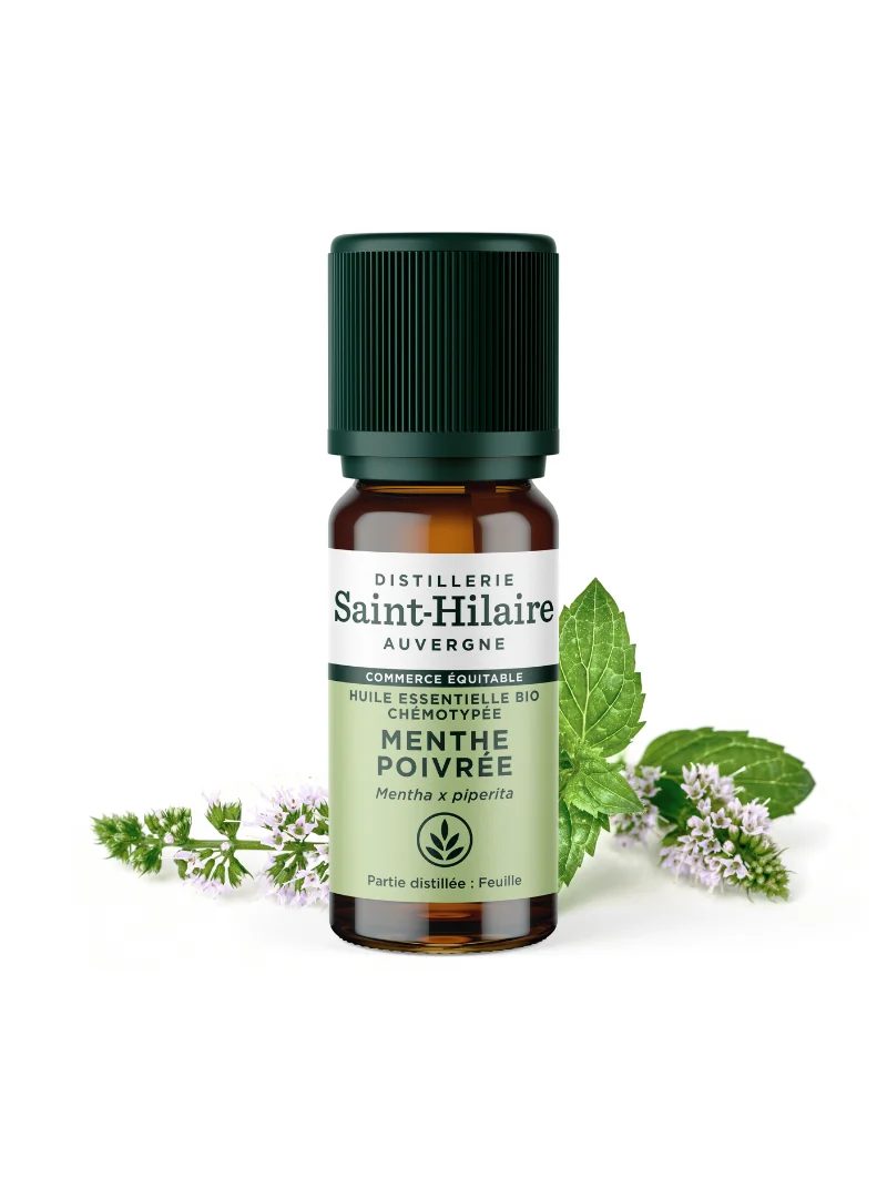 MENTHE POIVRÉE – Image 5