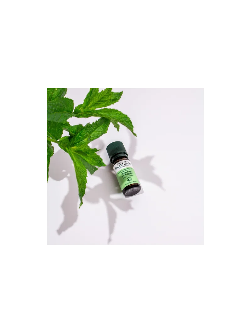 MENTHE POIVRÉE – Image 6