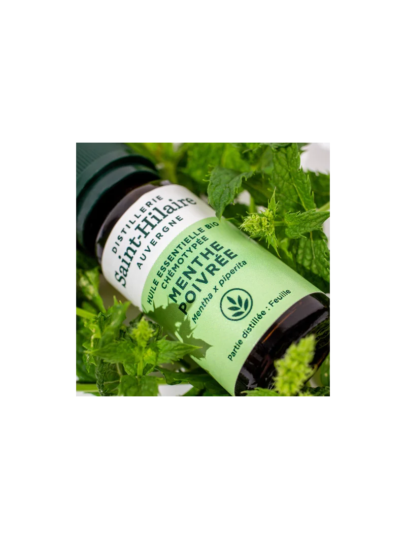 MENTHE POIVRÉE – Image 7