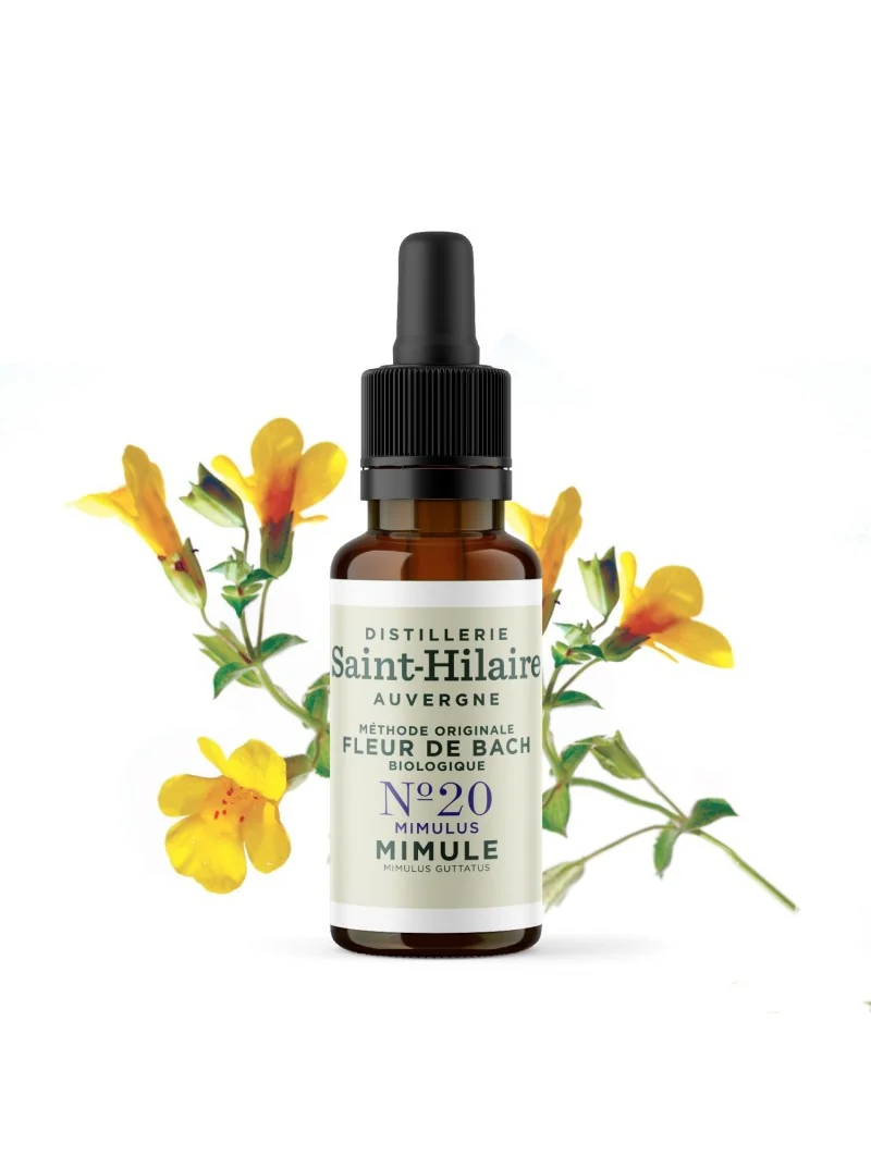 MIMULE N°20 BIO – Image 3