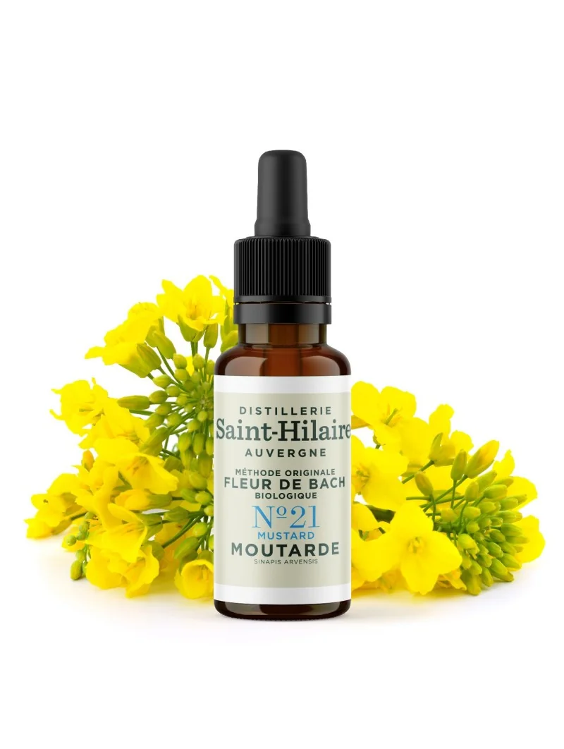 MOUTARDE N°21 BIO – Image 3