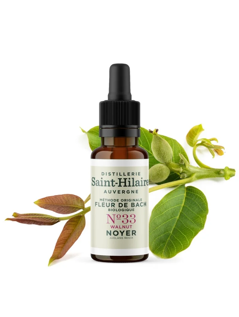 NOYER N°33 BIO – Image 3