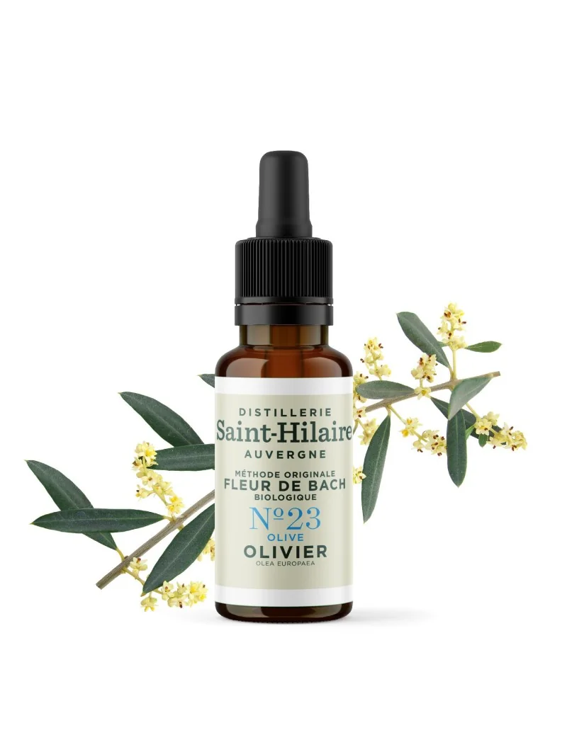 OLIVIER N°23 BIO – Image 3