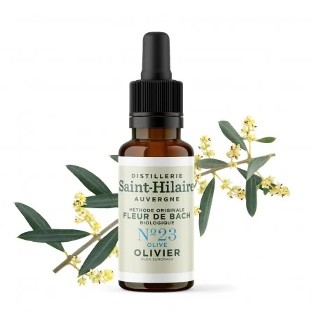 OLIVIER N°23 BIO