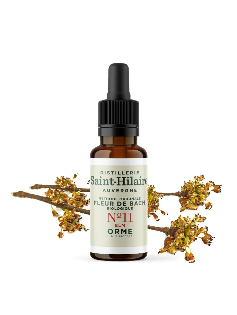 ORME N°11 BIO – Image 3