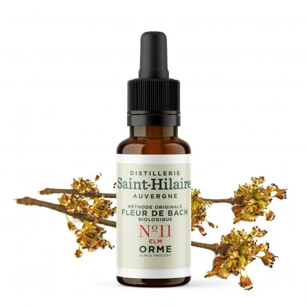 ORME N°11 BIO