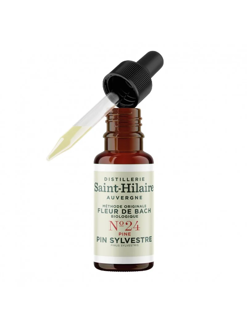 PIN SYLVESTRE N°24 BIO – Image 4