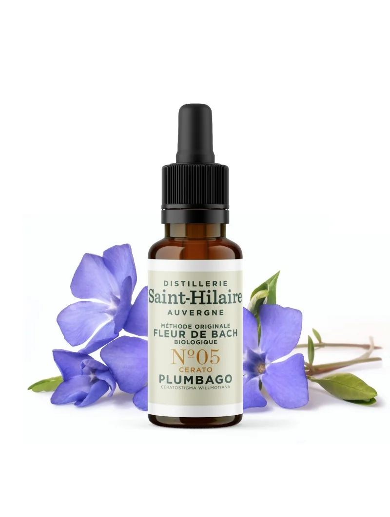 PLUMBAGO N°5 BIO – Image 3