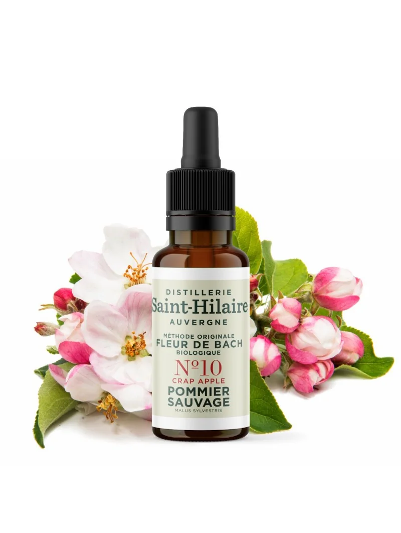 POMMIER SAUVAGE N°10 BIO – Image 3