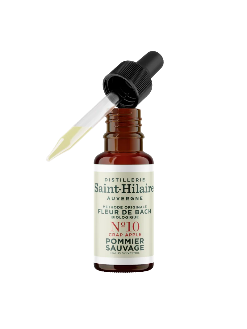 POMMIER SAUVAGE N°10 BIO – Image 4