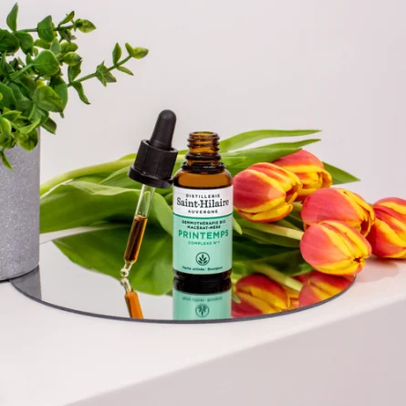 PRINTEMPS – Image 2