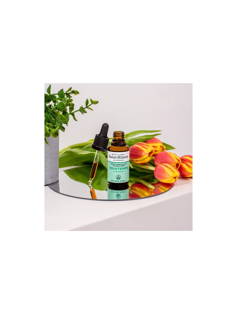 PRINTEMPS – Image 4