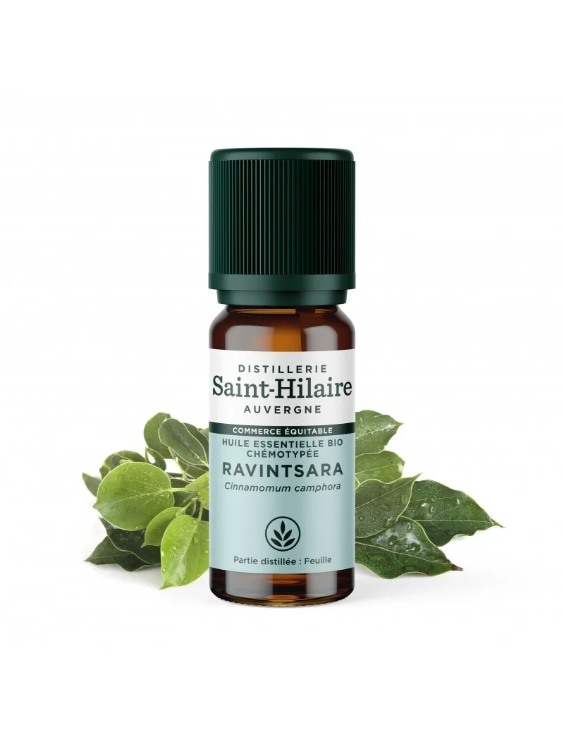 RAVINTSARA – Image 4