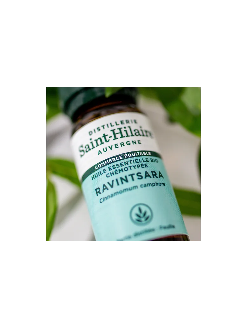 RAVINTSARA – Image 5