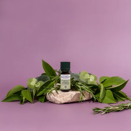 ROMARIN CINÉOLE – Image 2