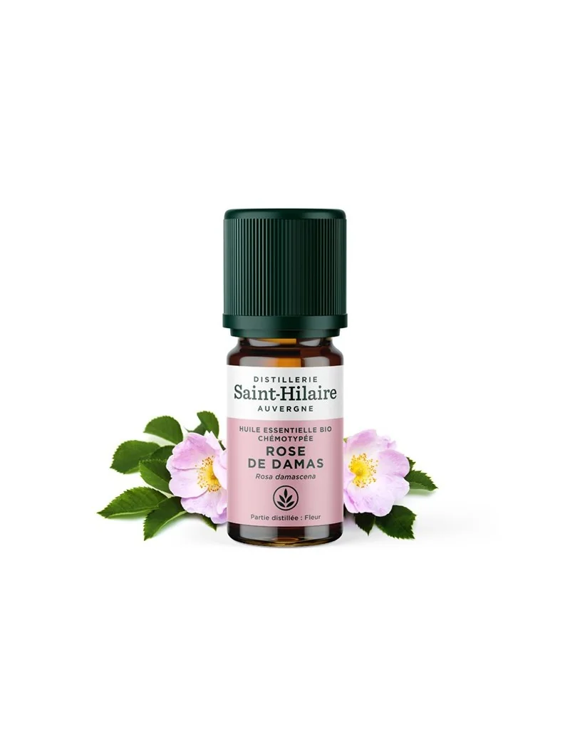 ROSE DE DAMAS – Image 2