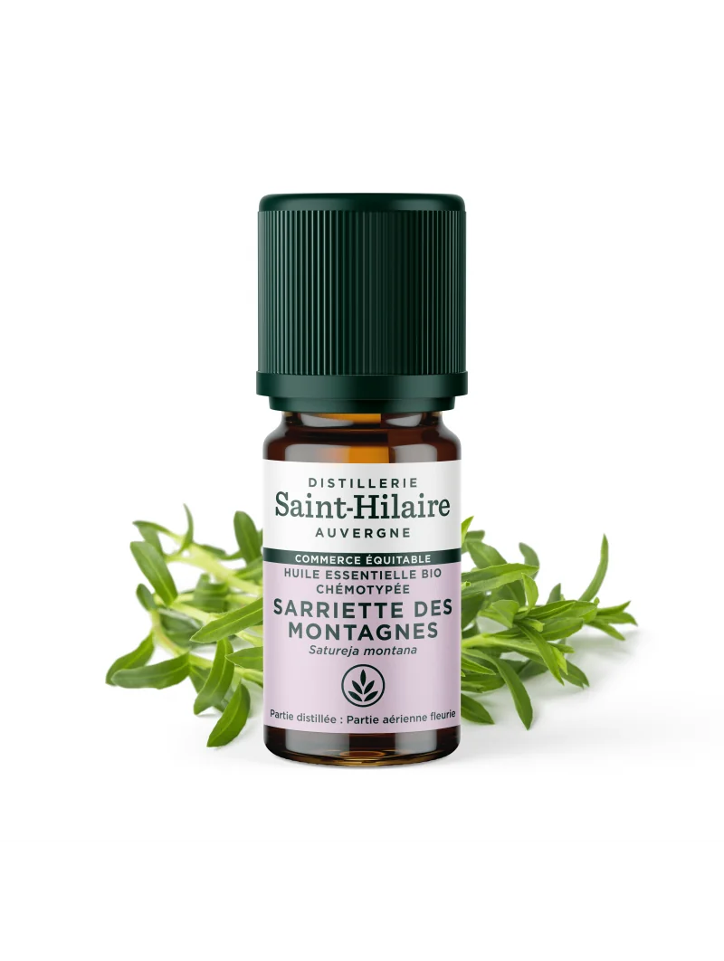 SARRIETTE DES MONTAGNES – Image 2