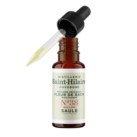 SAULE N°38 BIO – Image 2