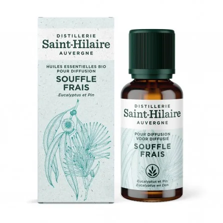 SOUFFLE FRAIS – Image 2