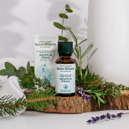 SOUFFLE FRAIS – Image 3