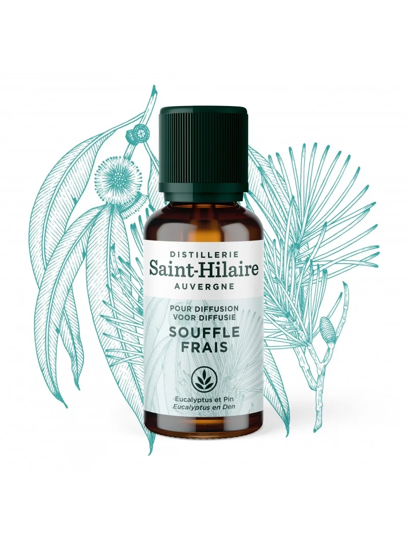 SOUFFLE FRAIS – Image 5