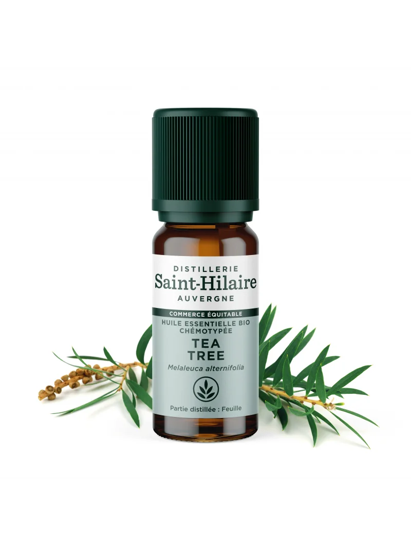TEA TREE – Image 3