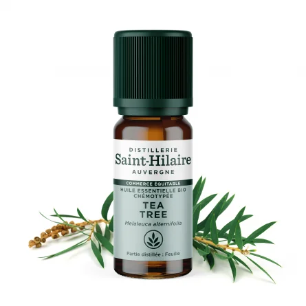 TEA TREE