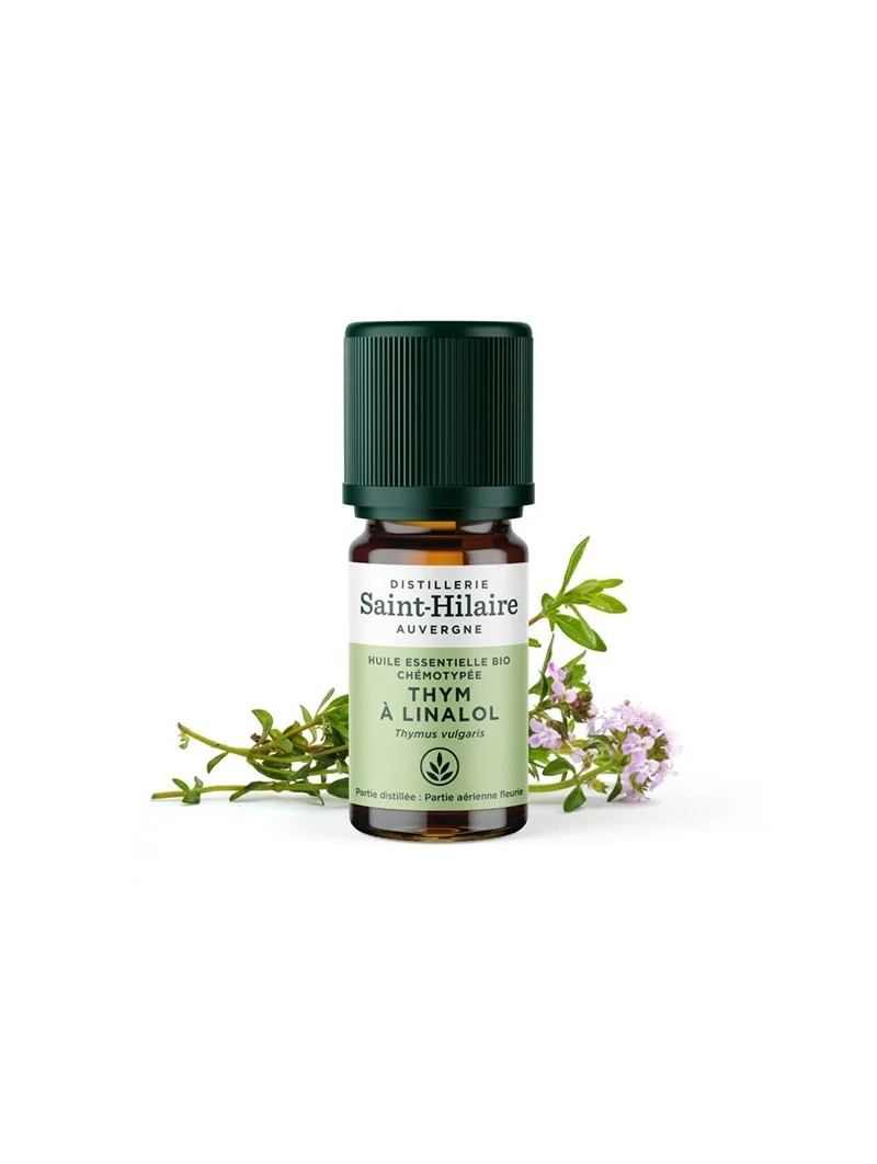 THYM À LINALOL – Image 2