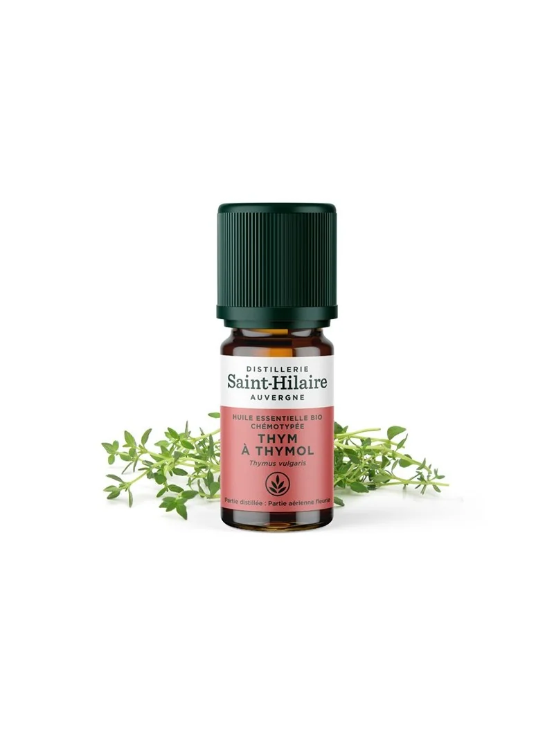 THYM À THYMOL – Image 2