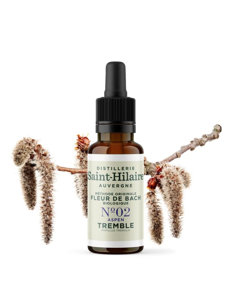 TREMBLE N°2 BIO – Image 3