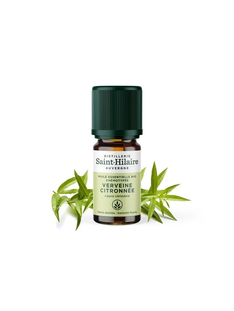 VERVEINE CITRONNÉE – Image 2